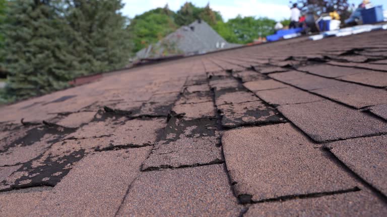 Best Gutter Installation and Repair  in Aurora, OH